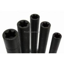 Alternative view of Steckschlüssel Satz TORX lang 1/2'' 5-tlg.