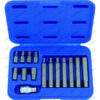 Bit-Sortiment 15-tlg. 1/2'' Innensechskant 4-12 mm Satz